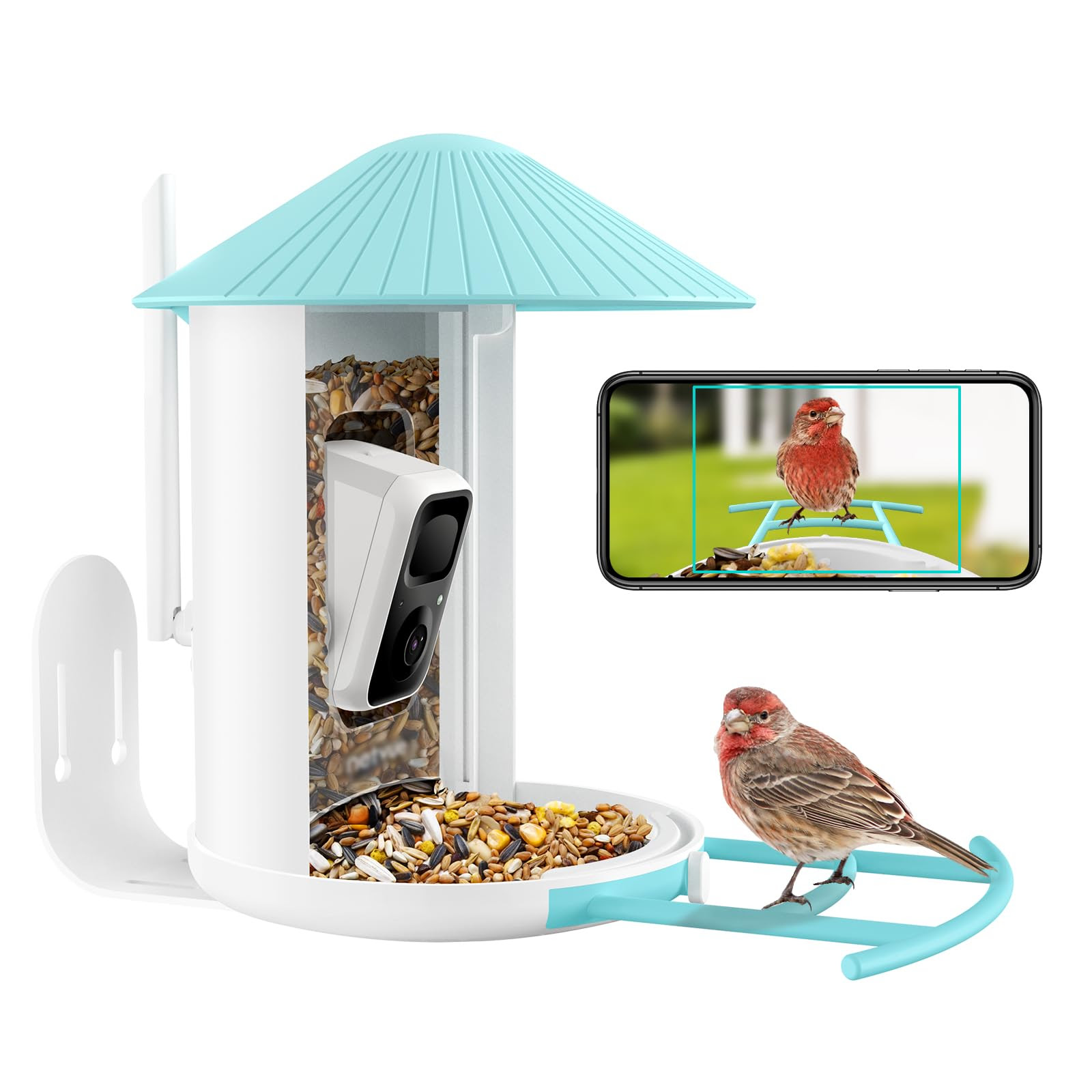 Best Camera for Bird Watching Top 7 Picks in 2024