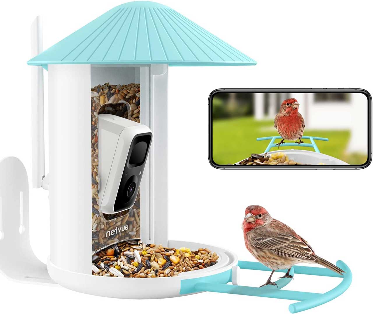 Best camera for bird watching