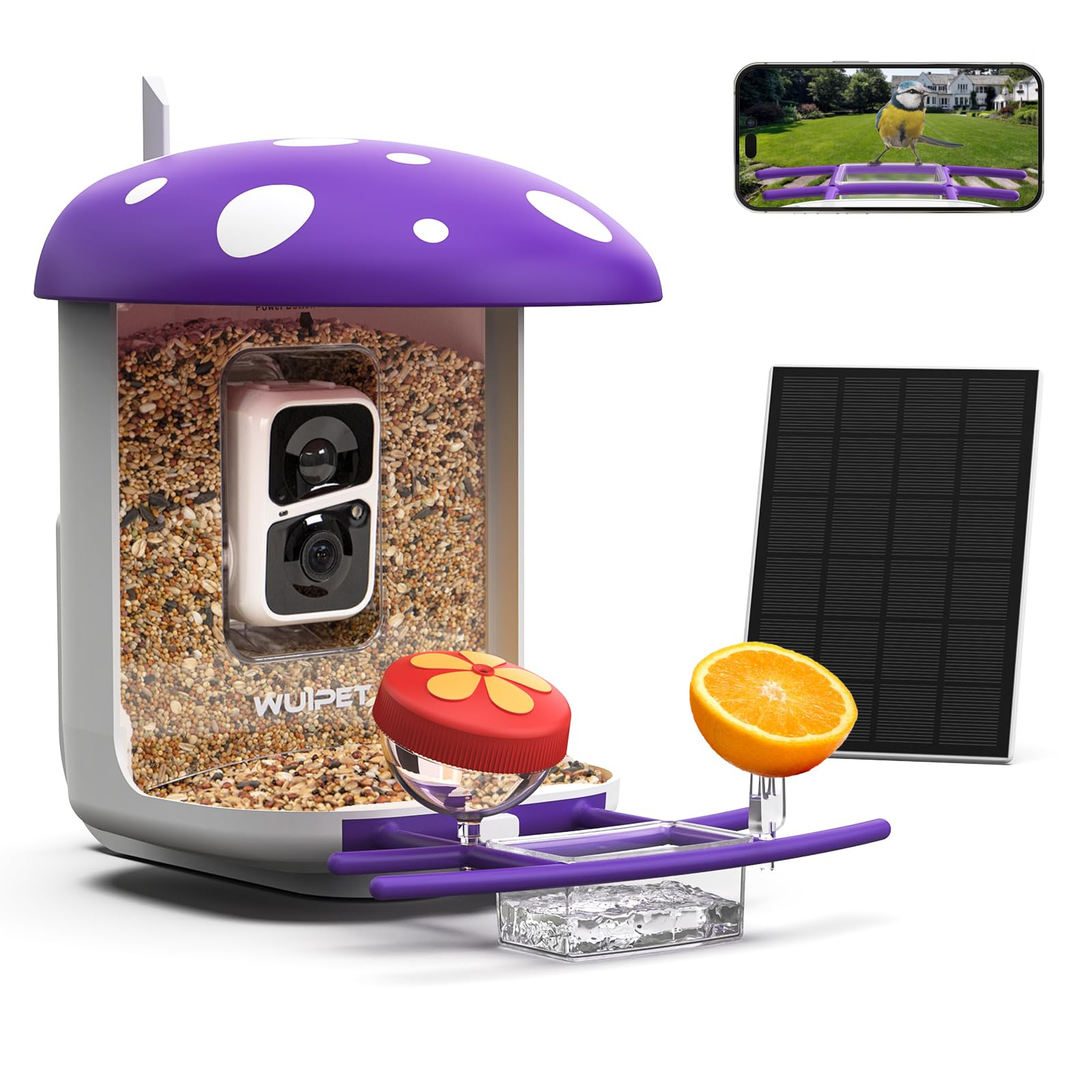 Best Camera for Birding Top Picks for Capturing Birds in 2024