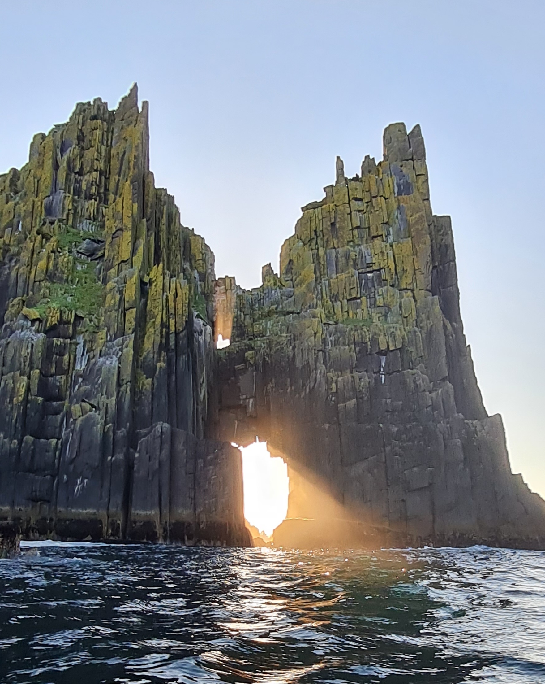 Discover Marine Wonders on Dingle's Sea Life Boat Tour to Blasket Islands