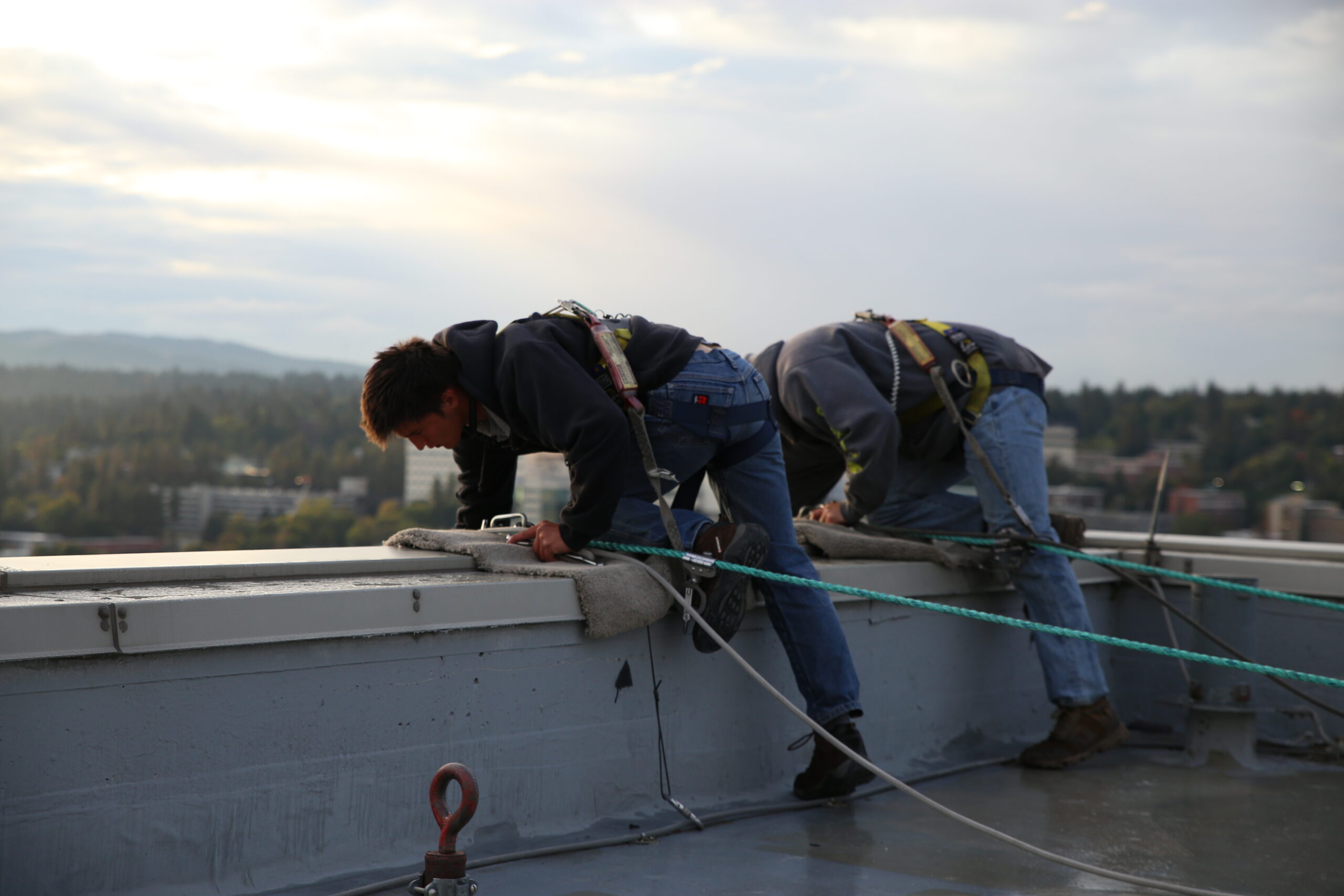 Roof Anchor Inspections Wynford Strata Management