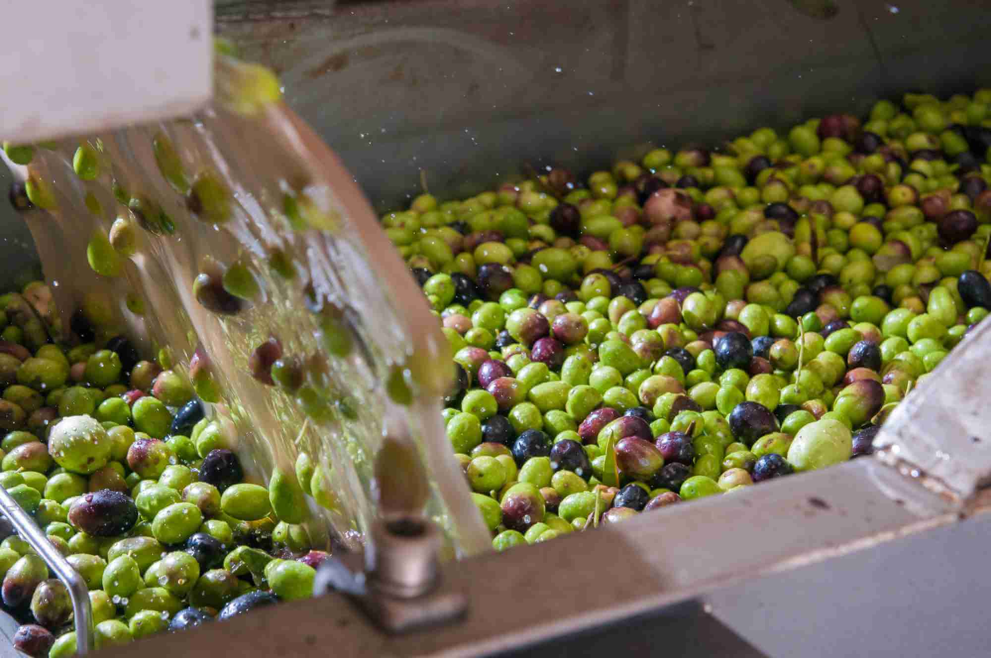 Olives
