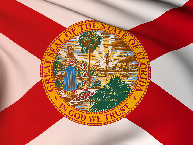 Picture of the Florida State Flag