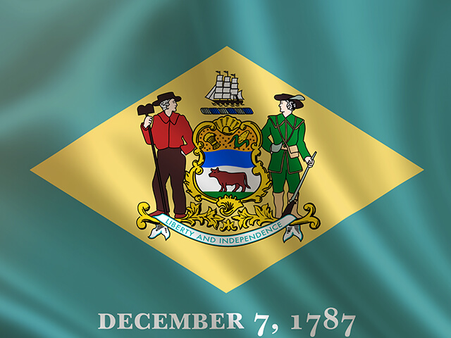 Delaware State Flag