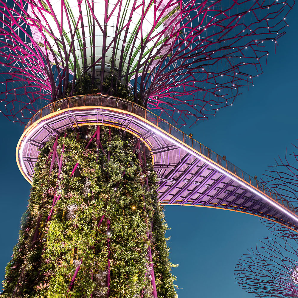 Breaking traditions Innovation unleashed in big businesses