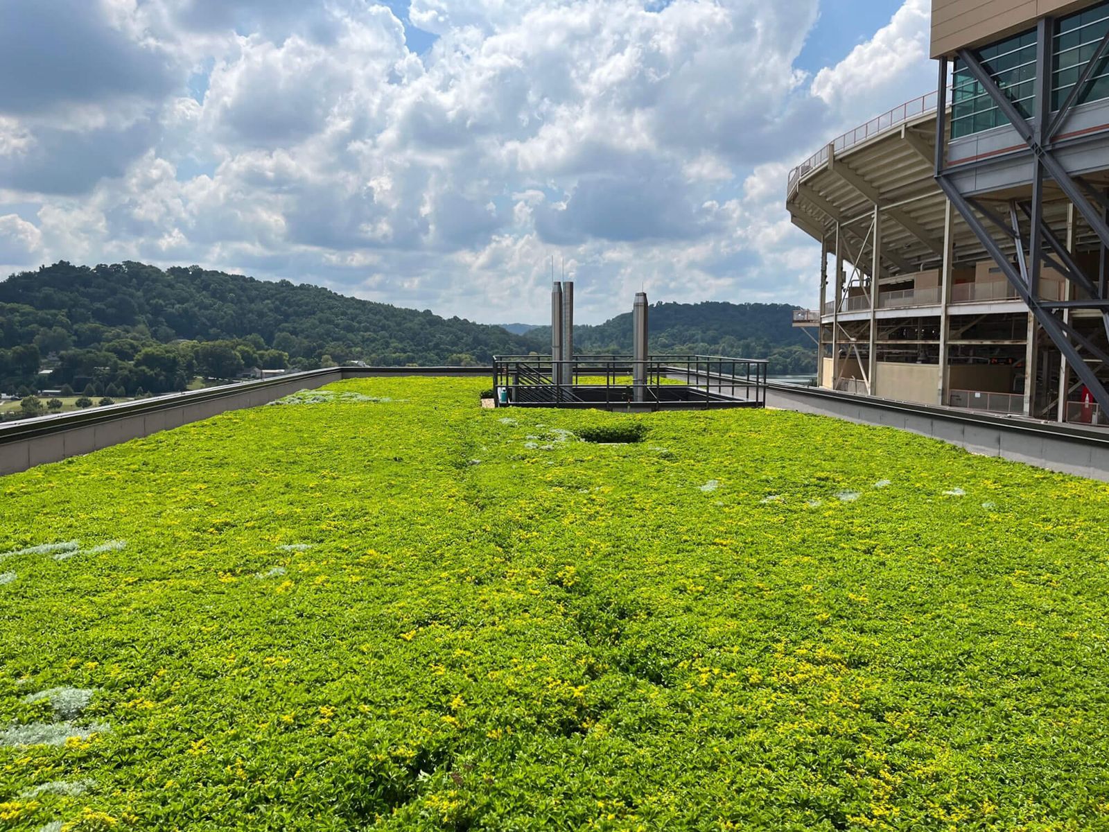 Stunning Green Roof Construction Techniques Online image