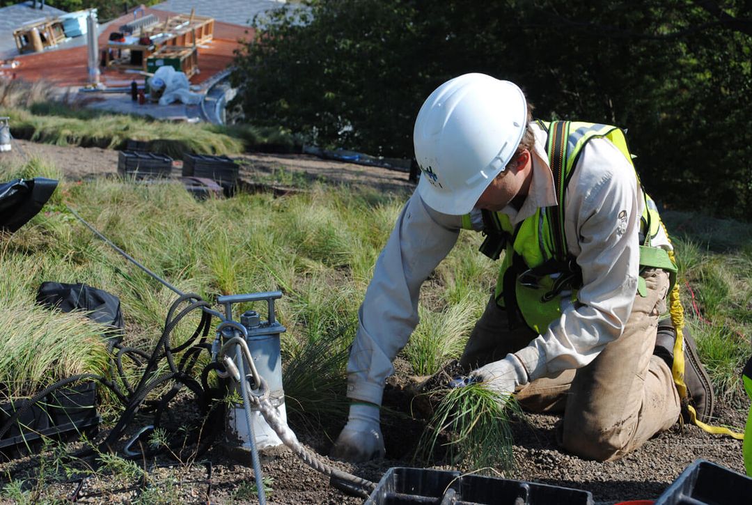 View of Construction | Green Roof Services :: Living Roofs Inc.