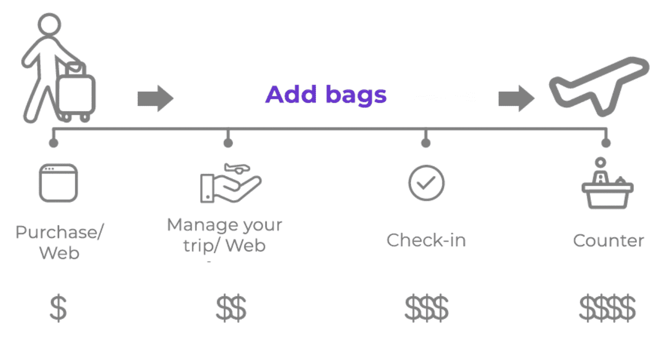 Wingo Airlines Review [2024] Should you fly with them?