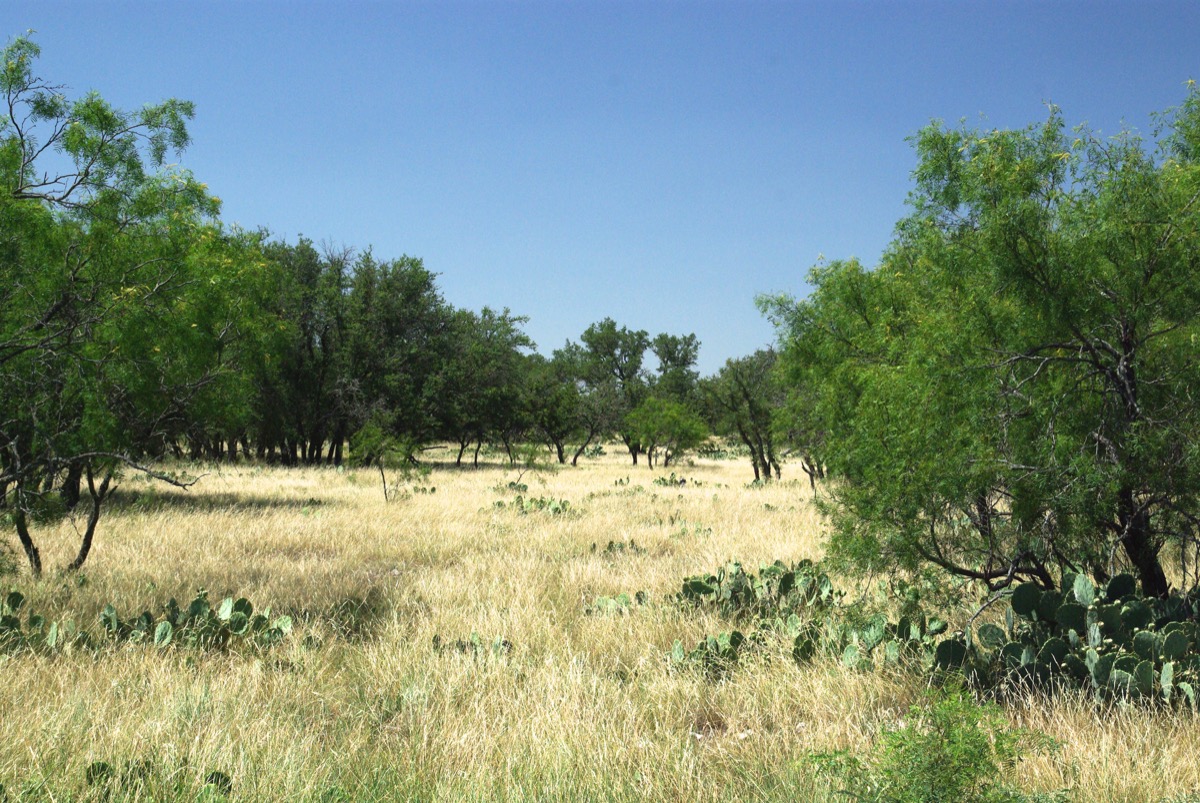 Sutton County Flying L Ranch Texas Ranches For Sale