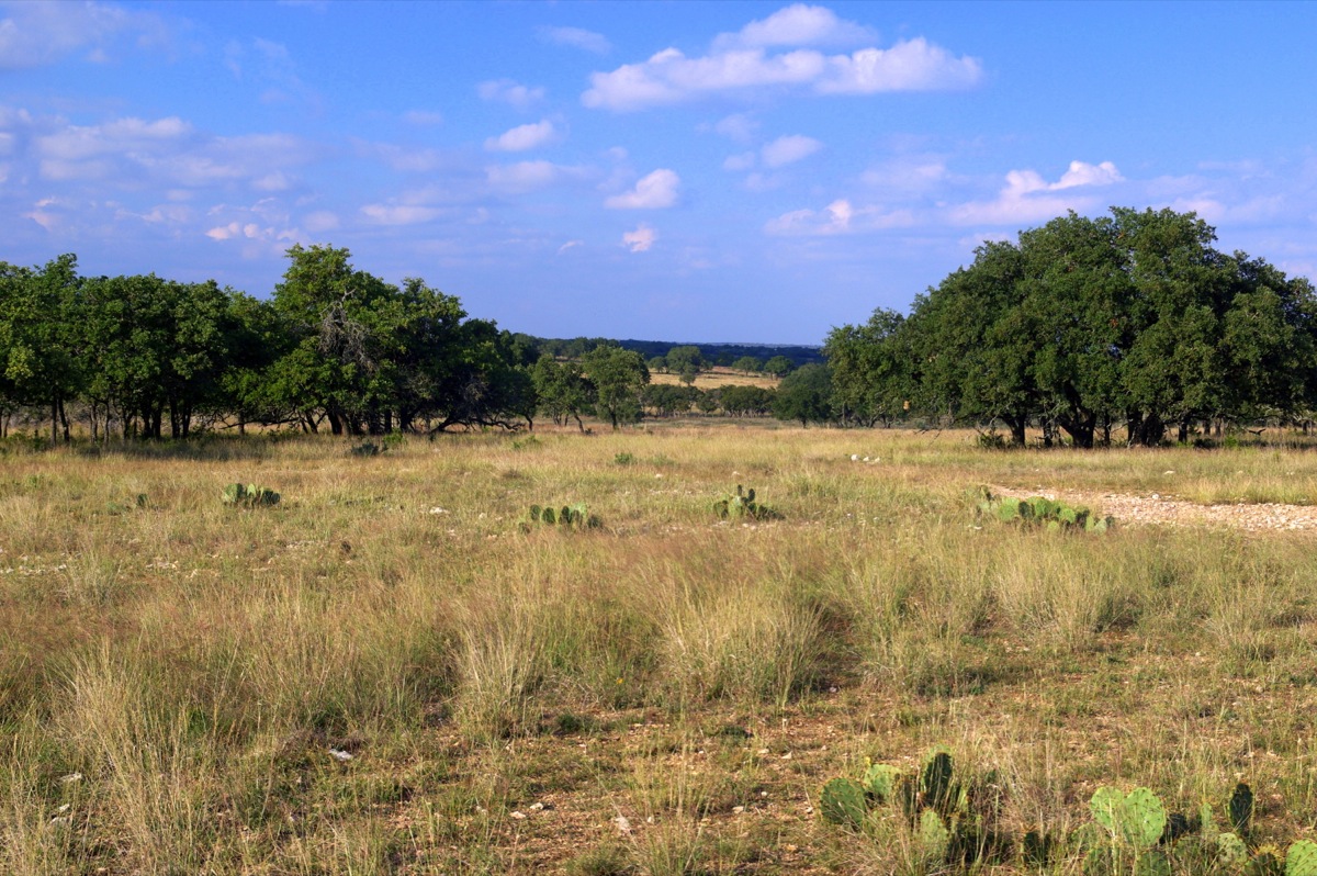 Kerr County Double L Ranch W of Kerrville Texas Ranches For Sale