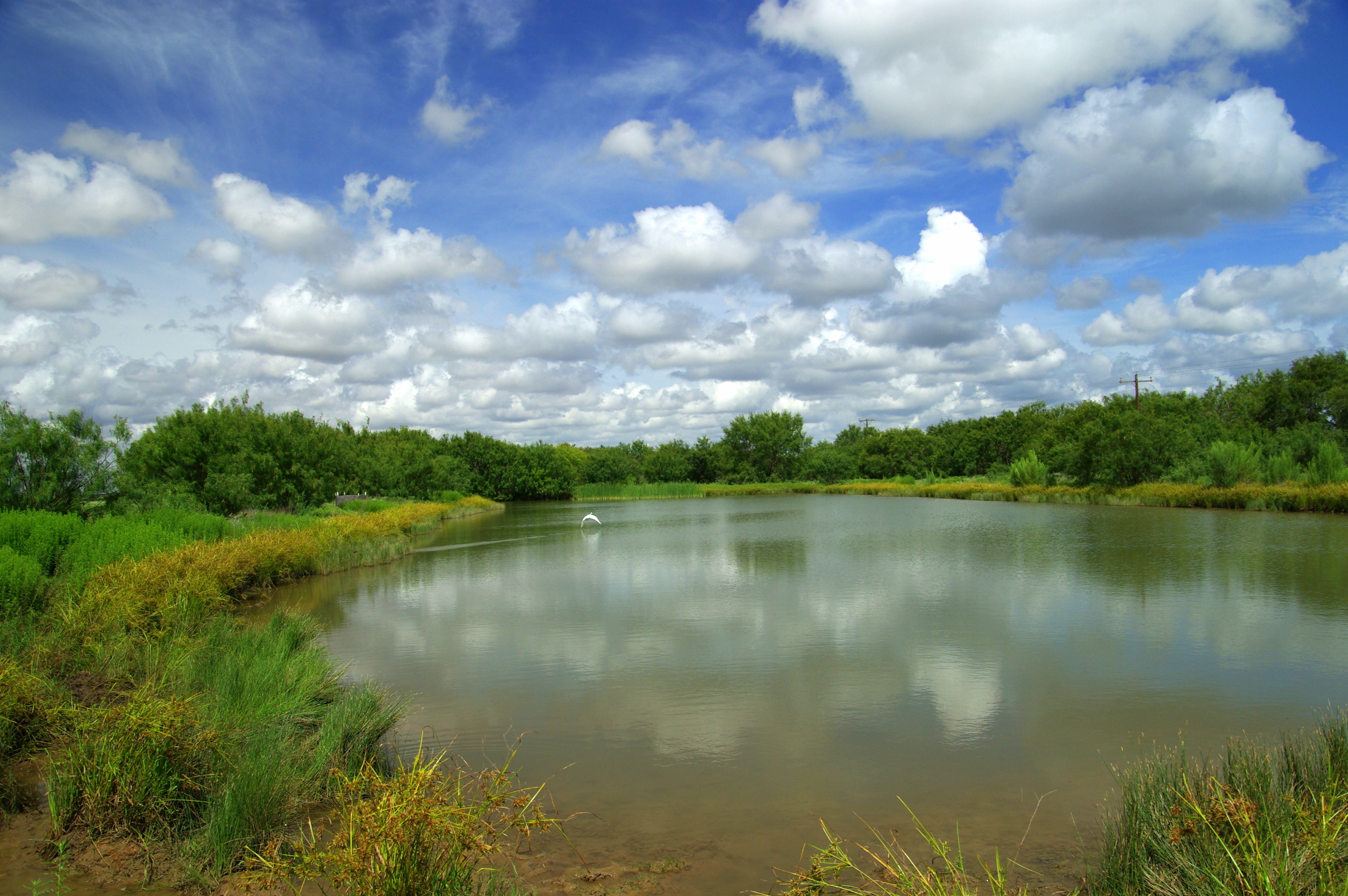 Frio County | Todos Santos Creek Ranch | | Texas Ranches For Sale