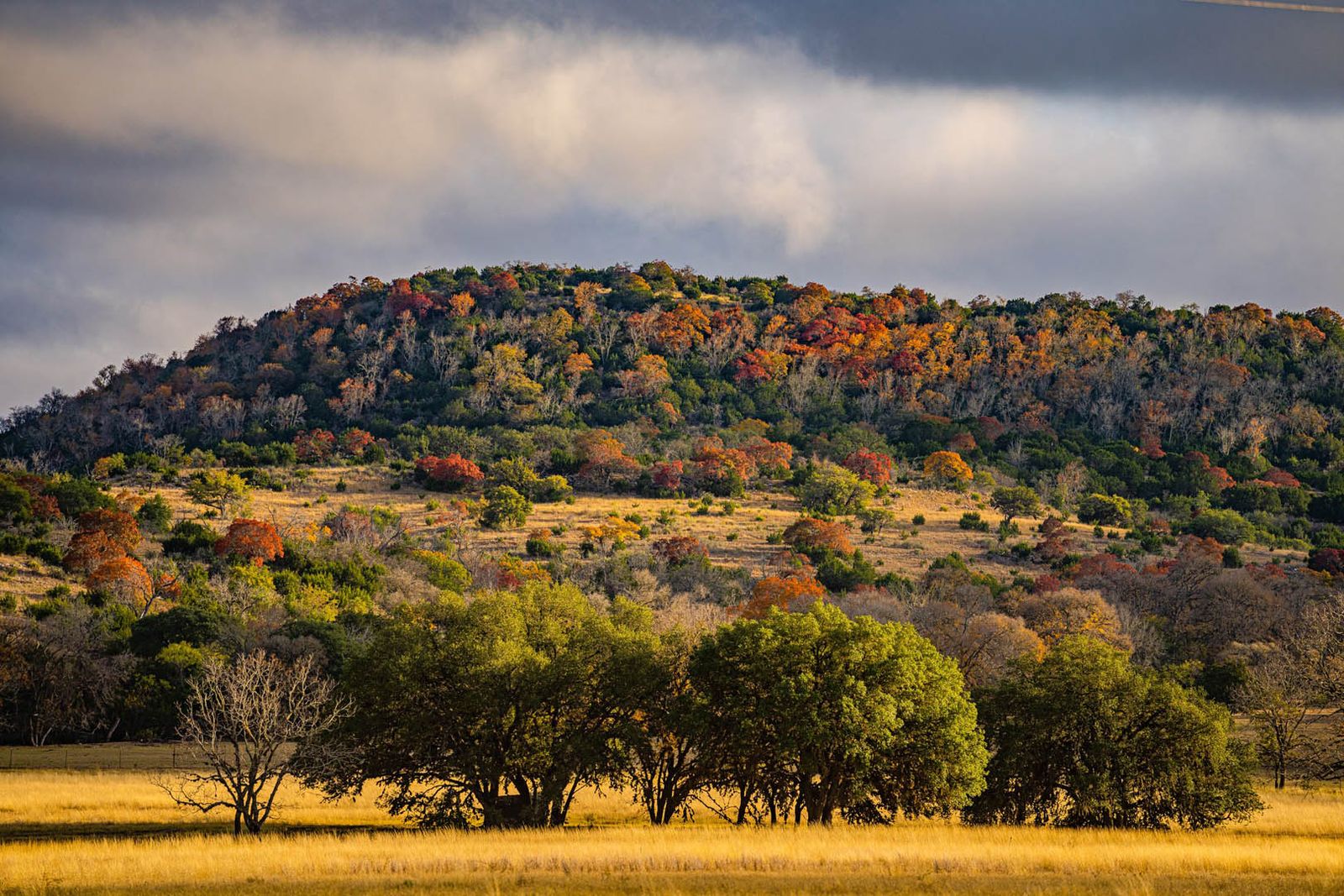 Kerr County Cypress Creek Ranch NW of Comfort Texas Ranches For Sale