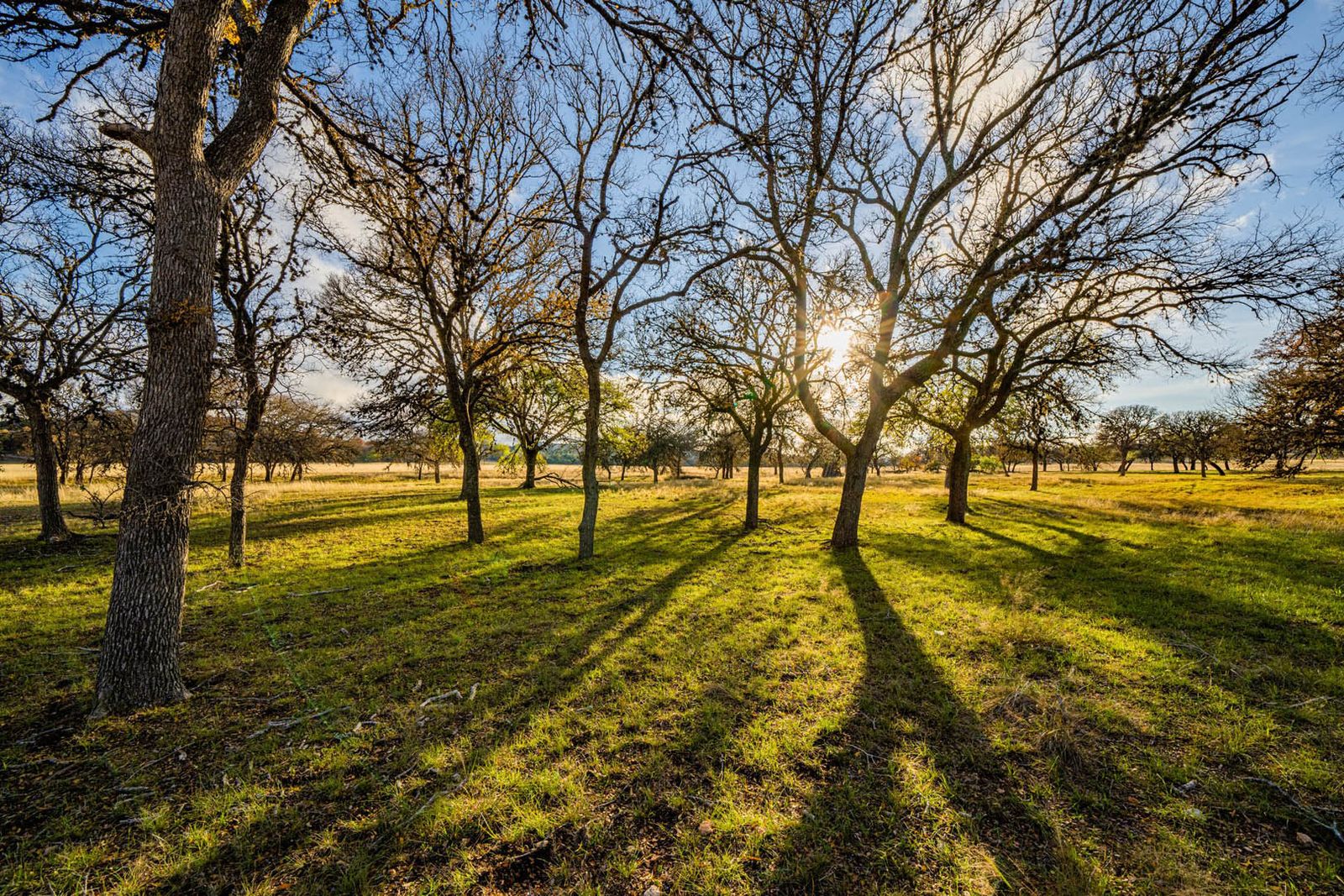 Kerr County Cypress Creek Ranch NW of Comfort Texas Ranches For Sale