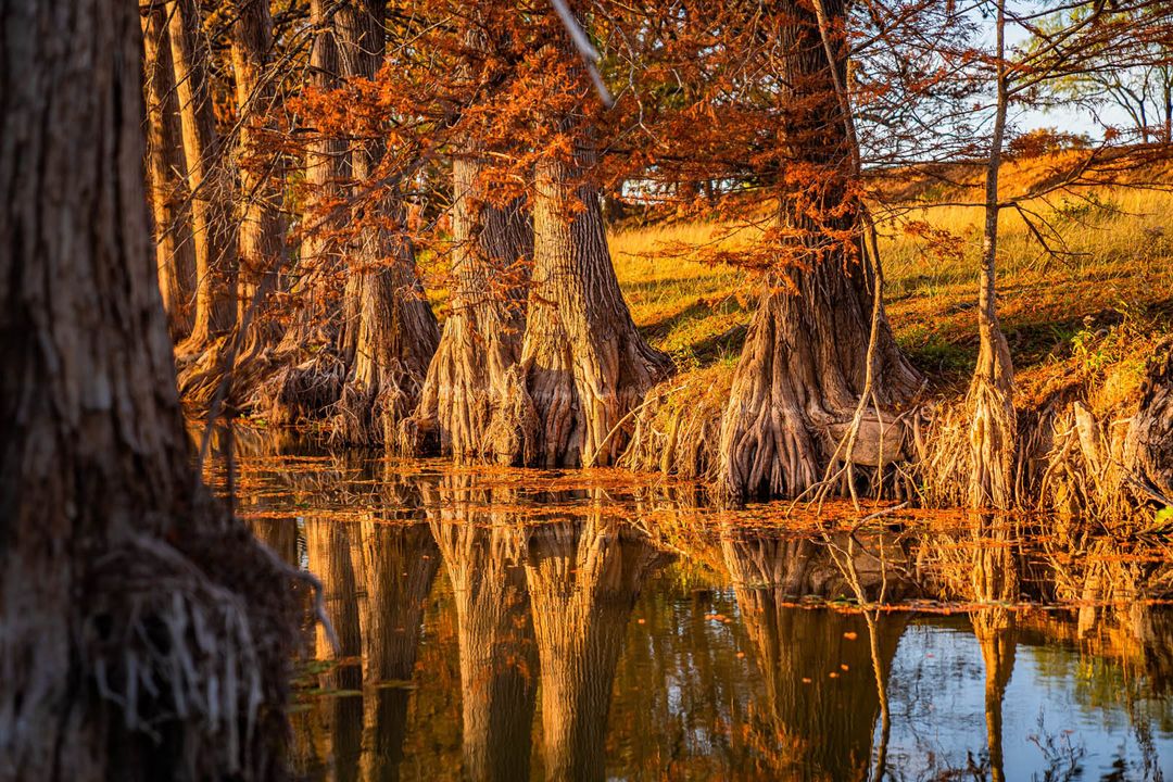 Kerr County Cypress Creek Ranch NW of Comfort Texas Ranches For Sale