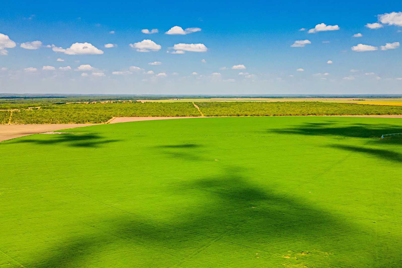 Frio County 57 Farm W of Pearsall Texas Ranches For Sale