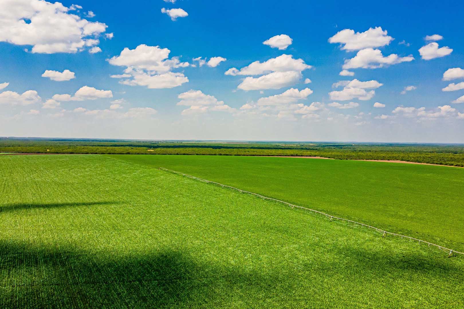 Frio County | 57 Farm | W of Pearsall | Texas Ranches For Sale