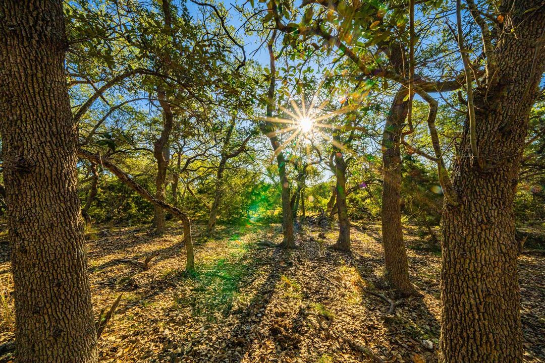 Comal County Gragg Ranch NE of Bulverde Texas Ranches For Sale