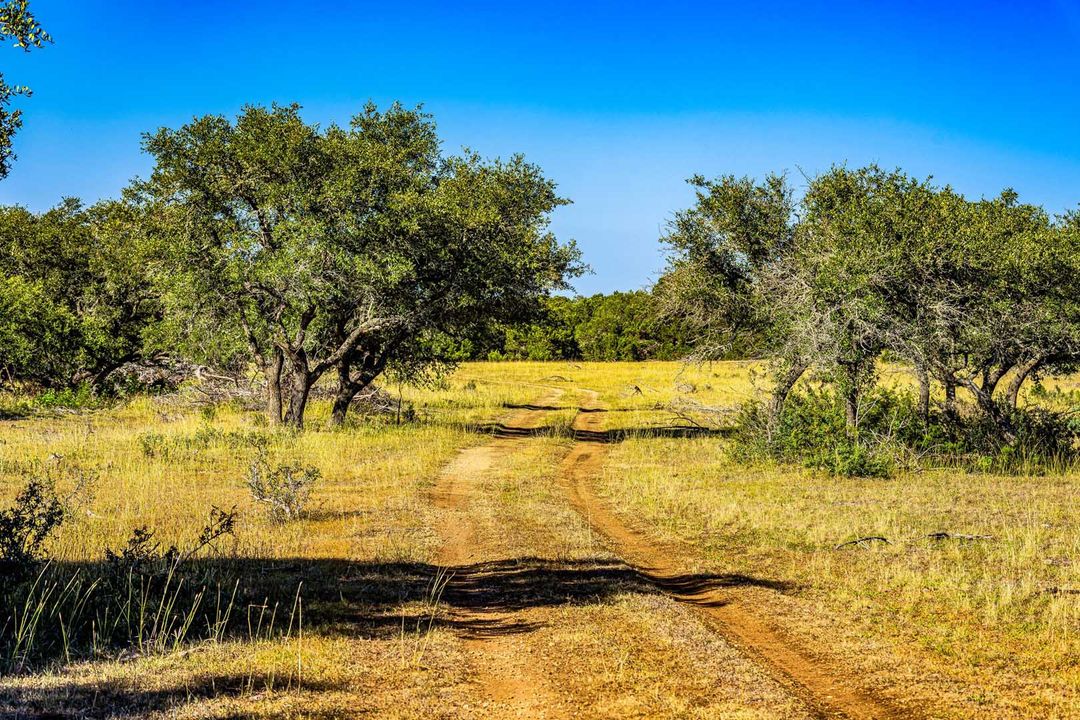 Comal County Gragg Ranch NE of Bulverde Texas Ranches For Sale
