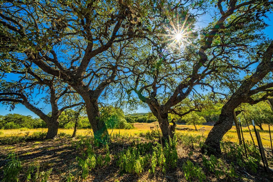 Comal County Gragg Ranch NE of Bulverde Texas Ranches For Sale