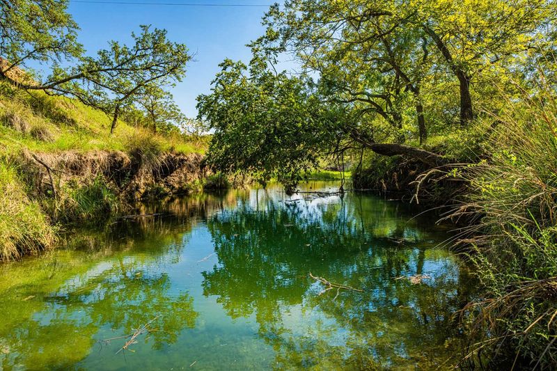 Hunting Ranches for Sale Texas Ranches For Sale