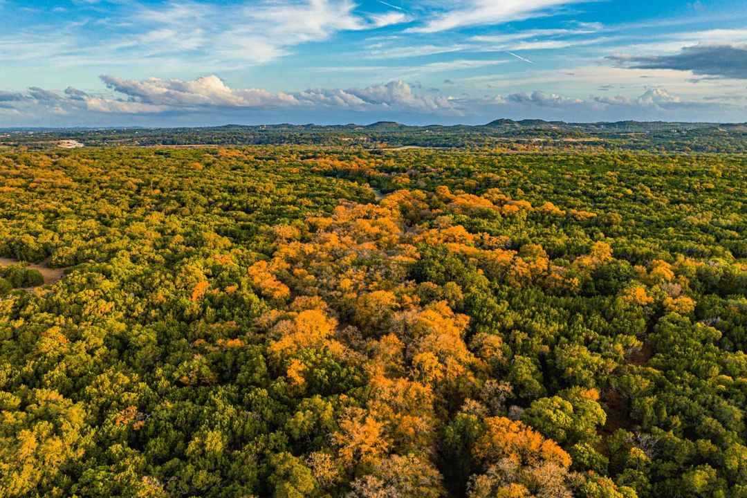 South Texas Ranches For Sale Texas Ranches For Sale