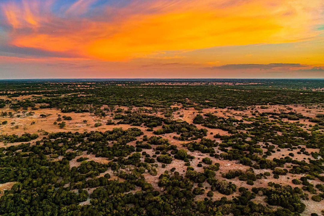 Hunting Ranches for Sale Texas Ranches For Sale