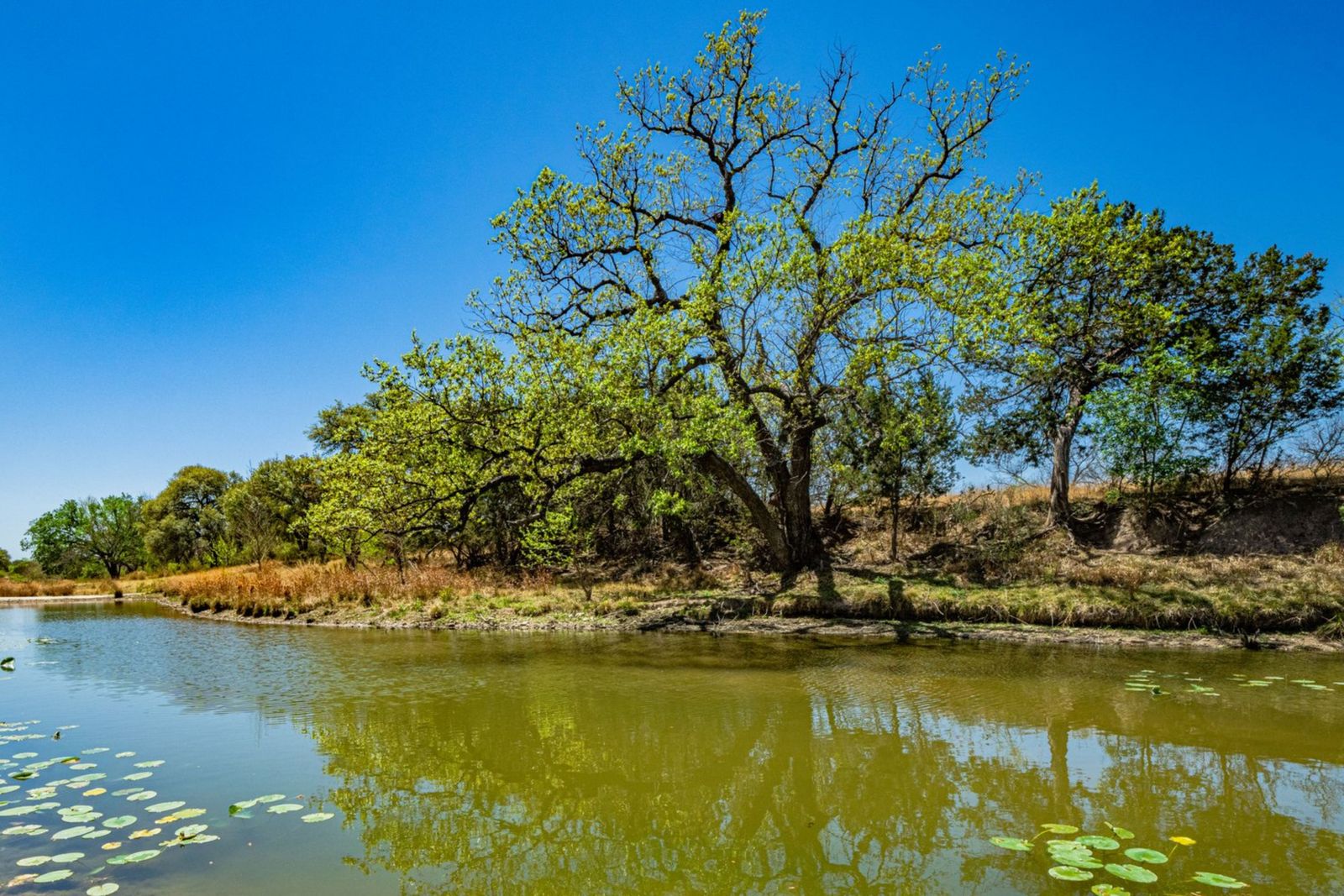 Selling Quality Ranches Throughout Texas Texas Ranches For Sale