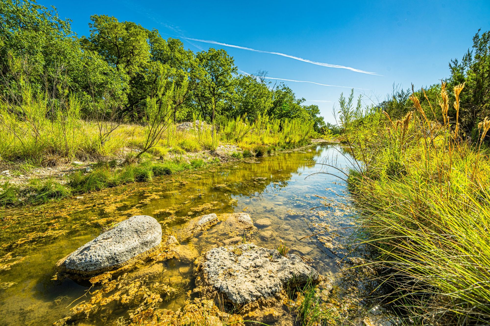 Hunting Ranches for Sale Texas Ranches For Sale