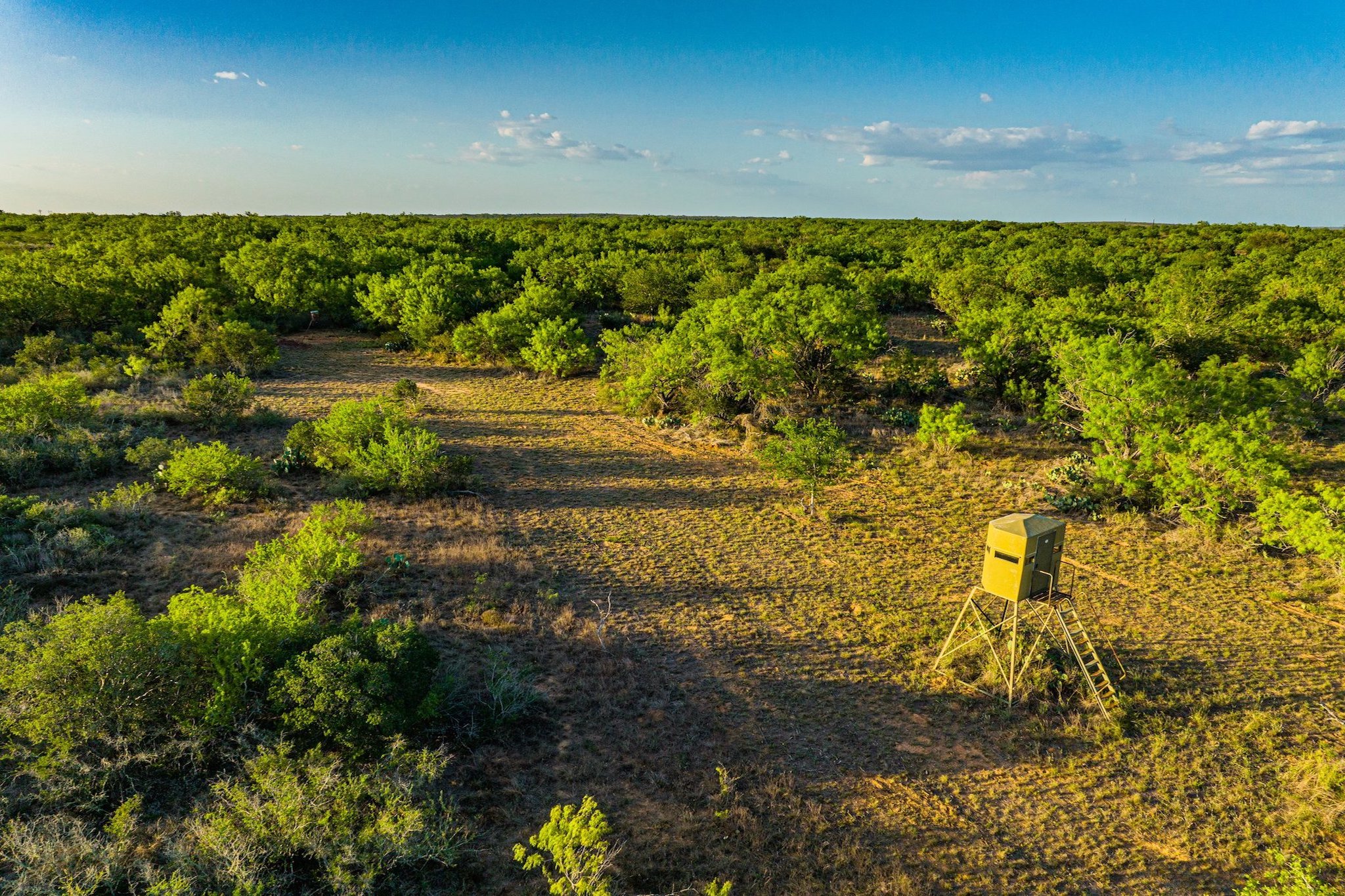 Frio County Lonesome Oak Ranch E of Pearsall Texas Ranches For Sale