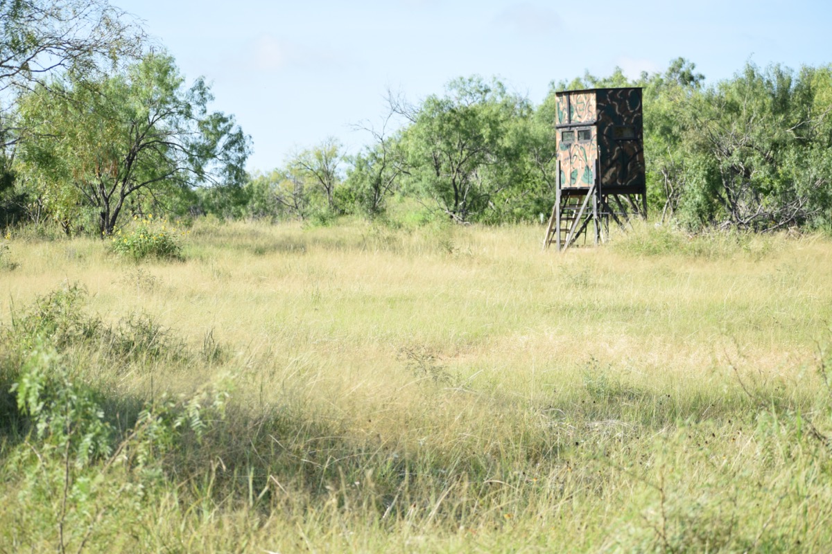 Atascosa County JL Ranch NW of Jourdanton Texas Ranches For Sale