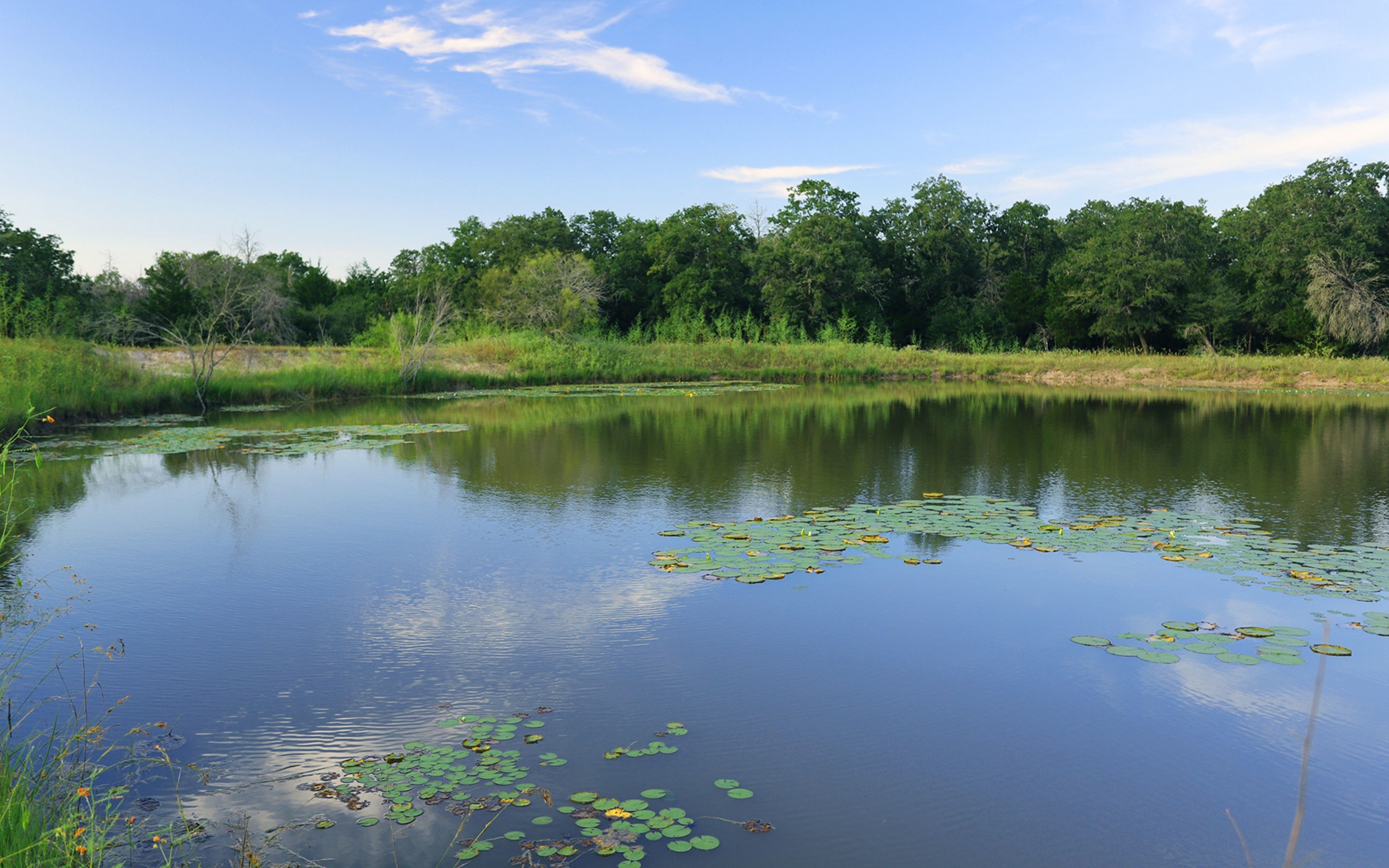 Lee County Bar H Ranch E of Giddings Texas Ranches For Sale