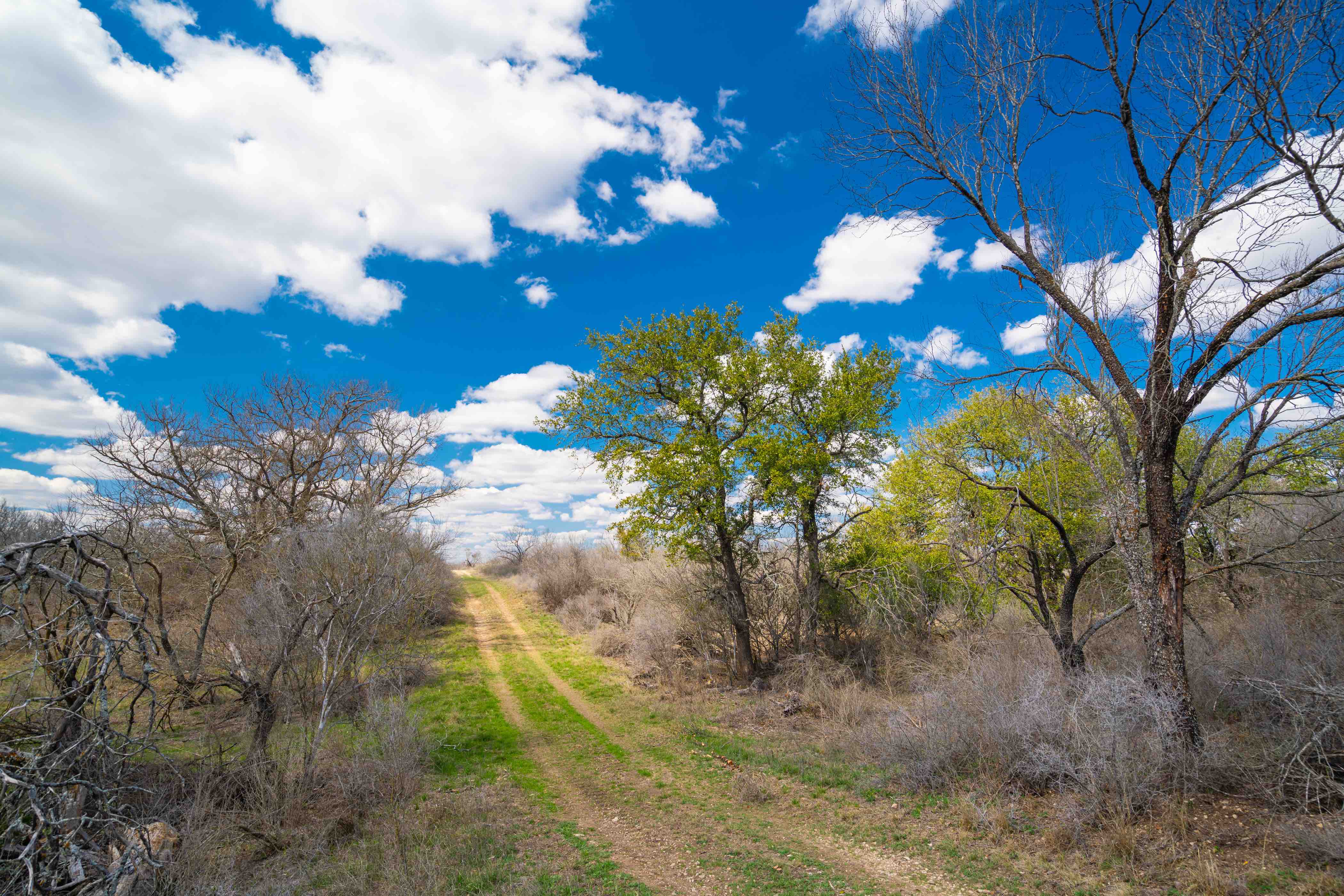 Kinney County Double R Ranch E of Brackettville Texas Ranches For Sale