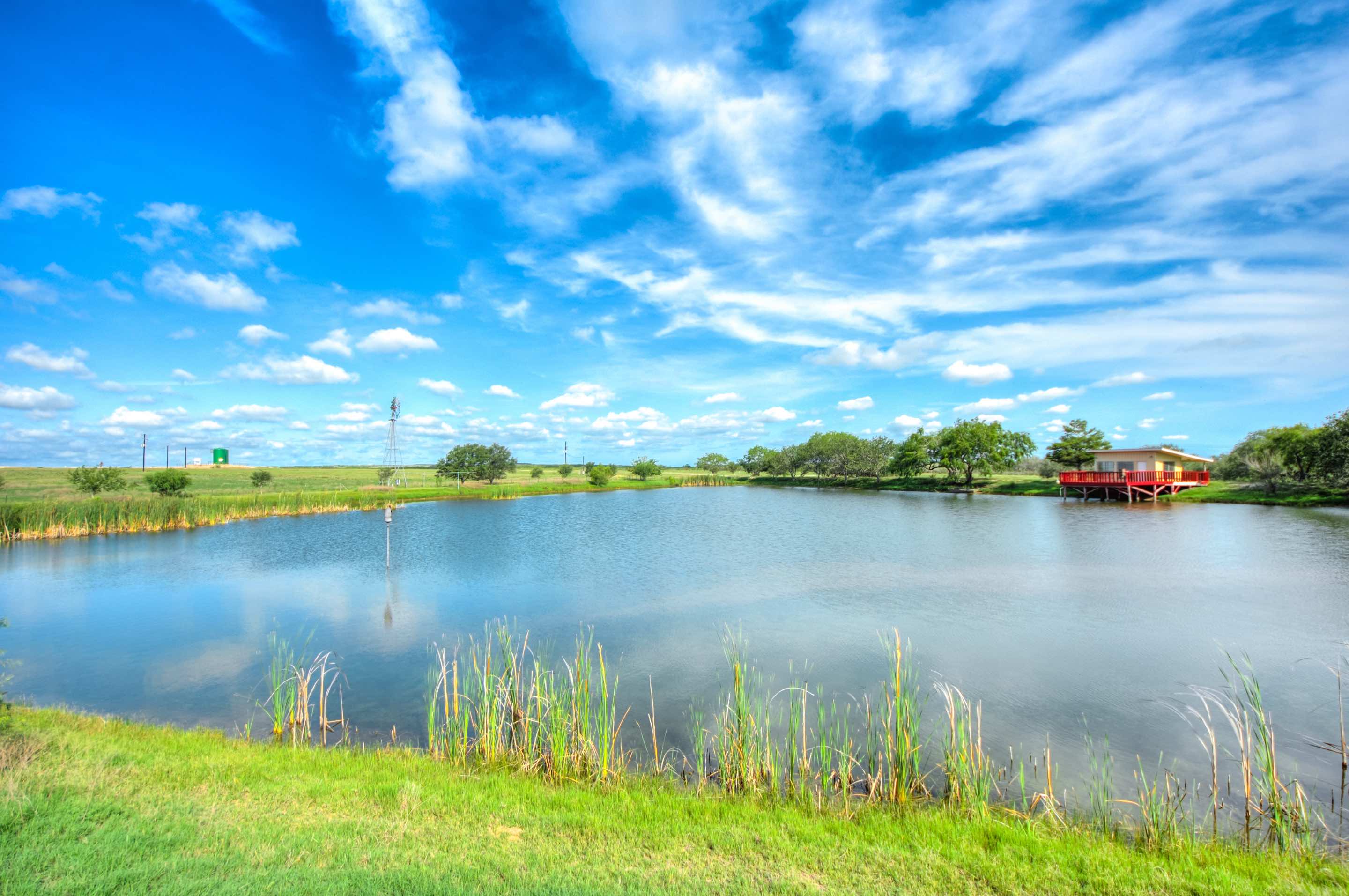 Live Oak County Quail Ridge Ranch S of West Texas Ranches For Sale