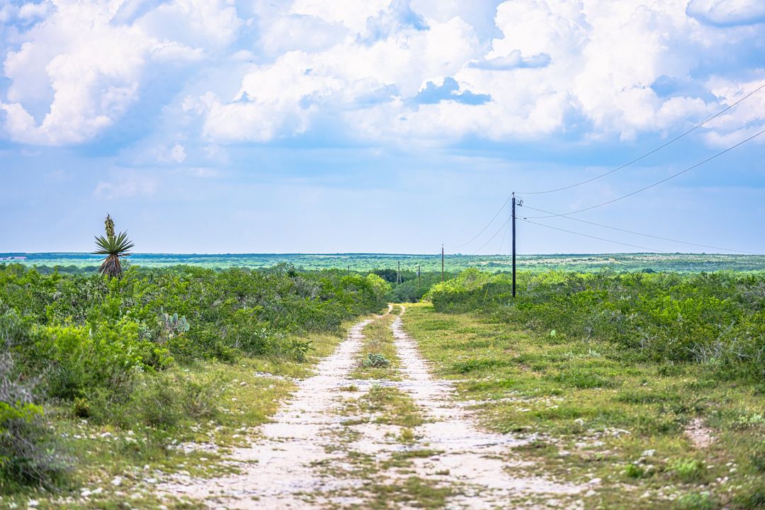 Duval County S Ranch E of Freer Texas Ranches For Sale