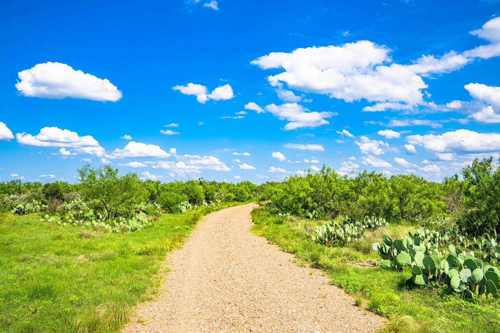 Maverick County Mavala Ranch W of La Pryor Texas Ranches For Sale