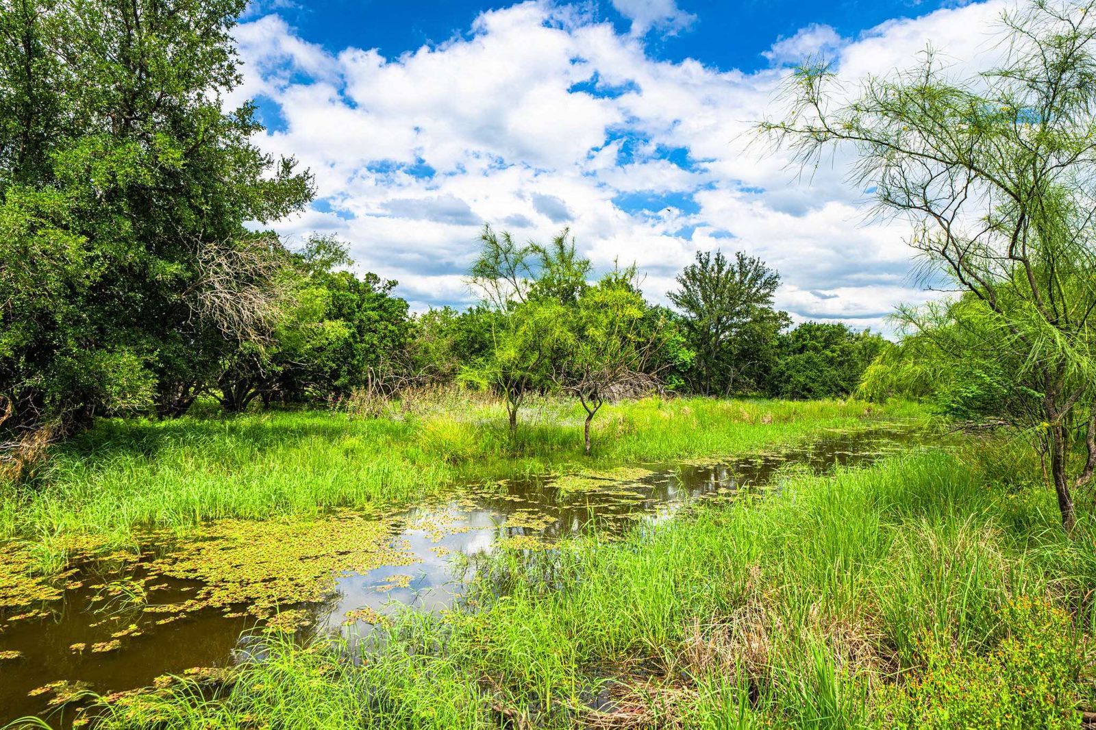 Maverick County Mavala Ranch W of La Pryor Texas Ranches For Sale