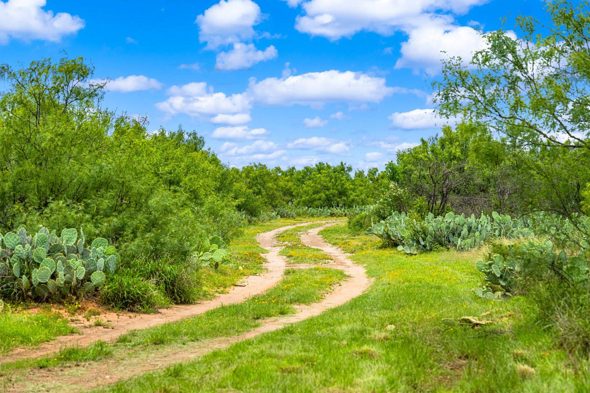 Maverick County Mavala Ranch W of La Pryor Texas Ranches For Sale