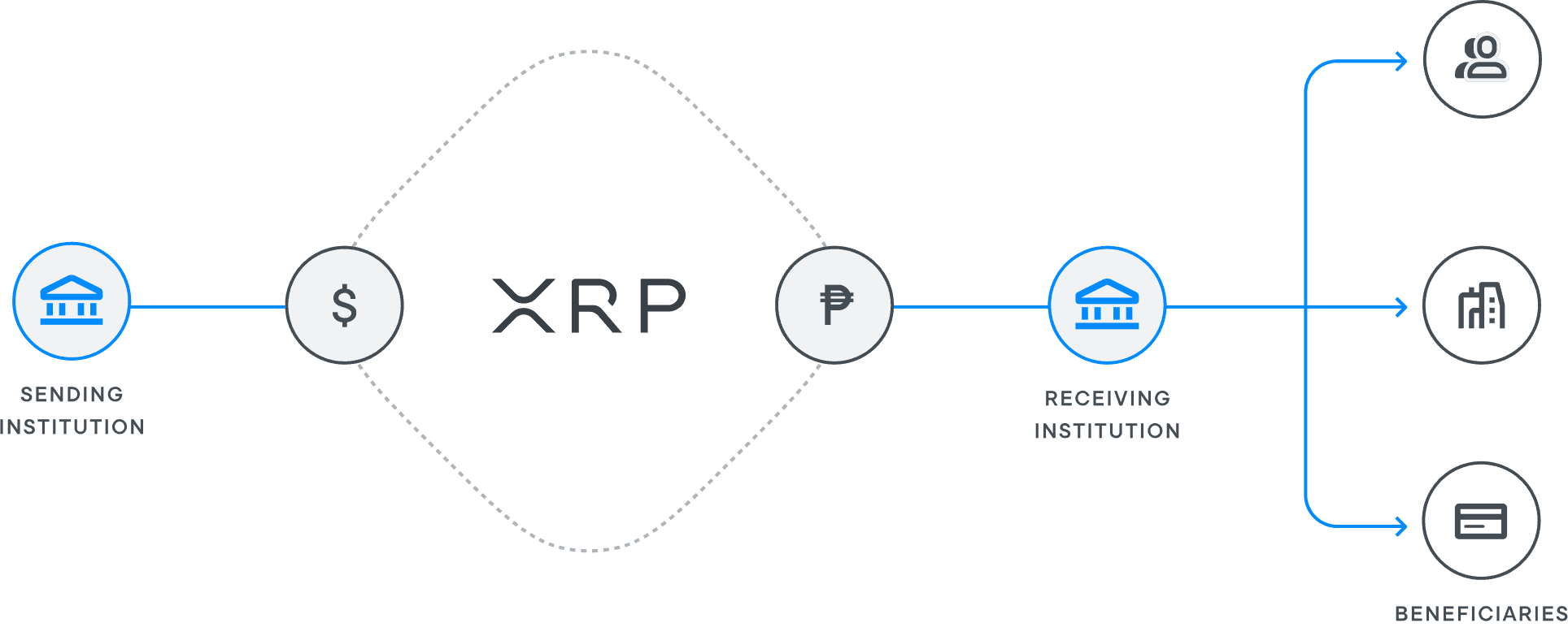 XLM Vs XRP What s The Difference 