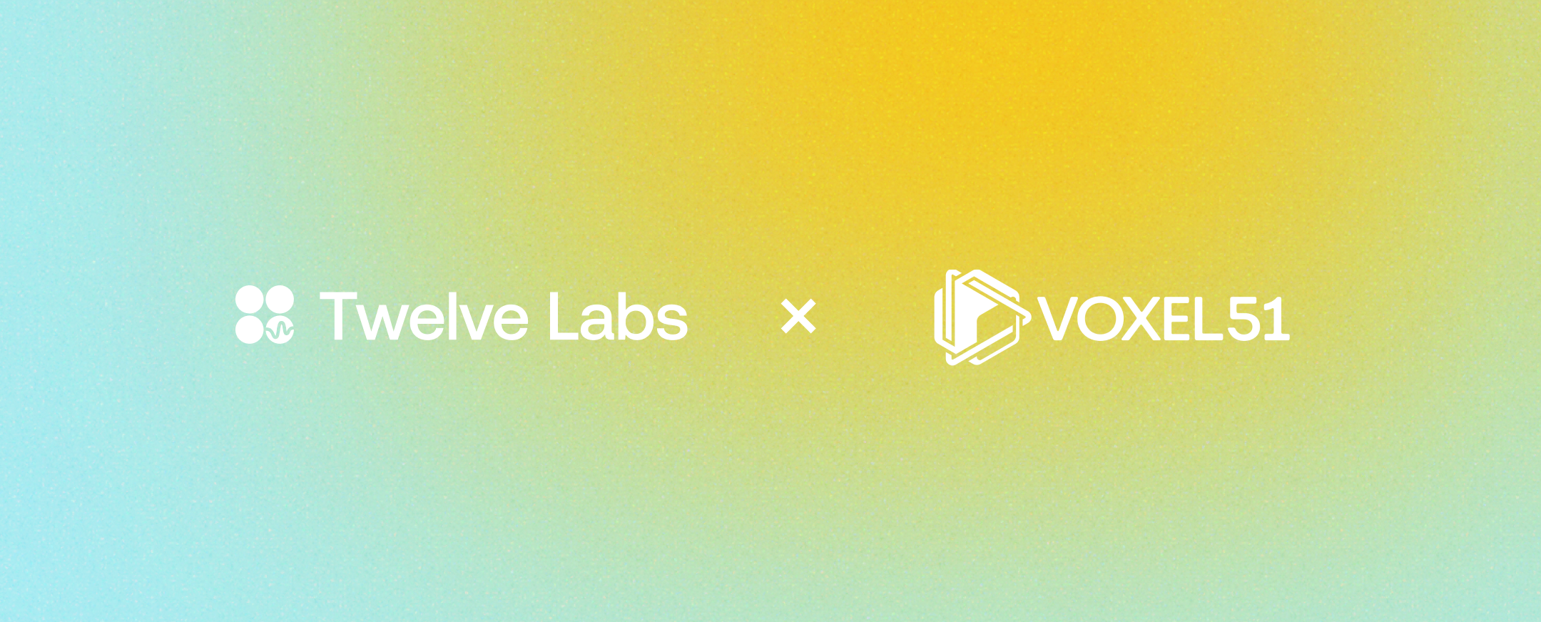 A Twelve Labs and FiftyOne Plugin Tutorial