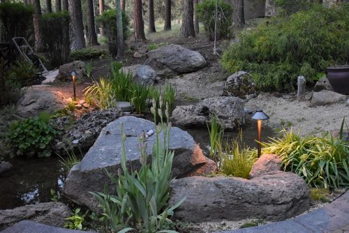 Exterior landscape lighting