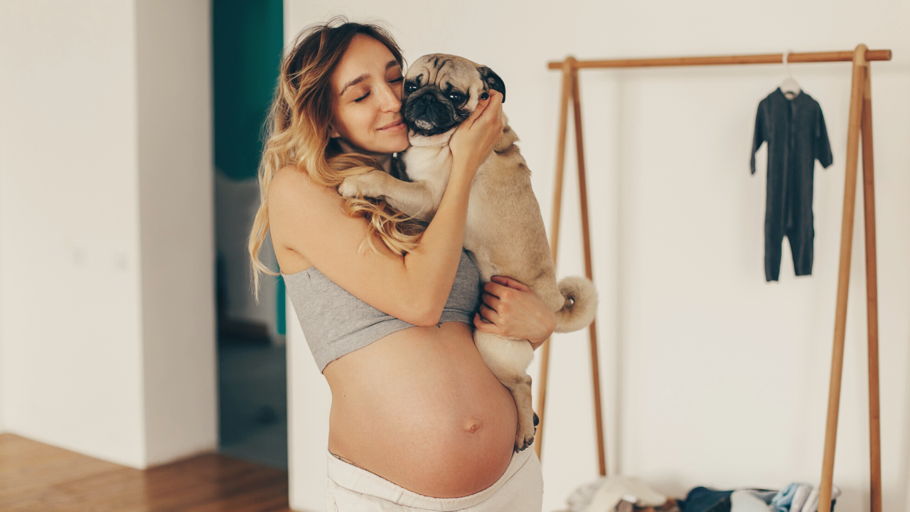 Dog Meets Baby