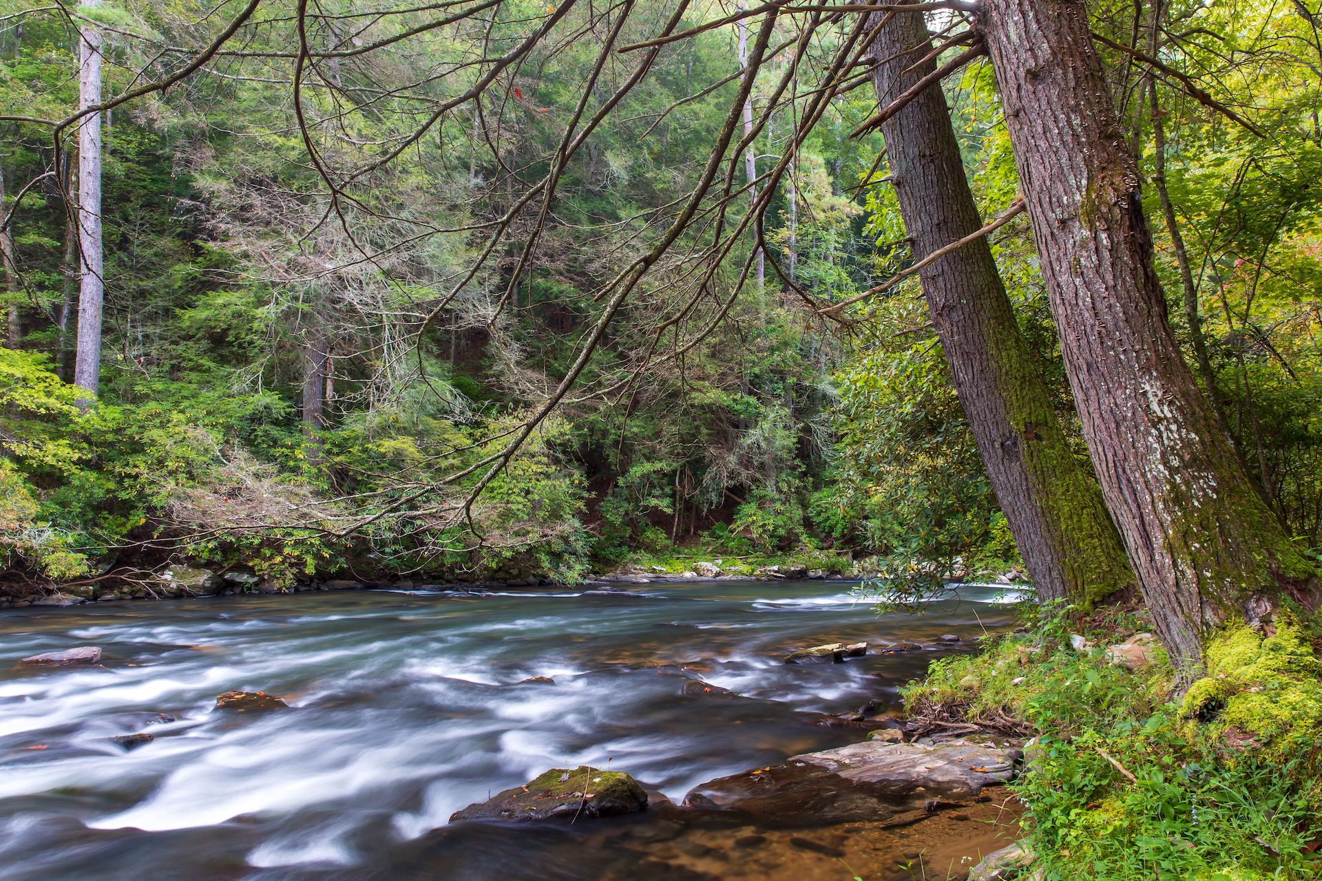 Why The Woodland Group? Land For Sale In The Mountains