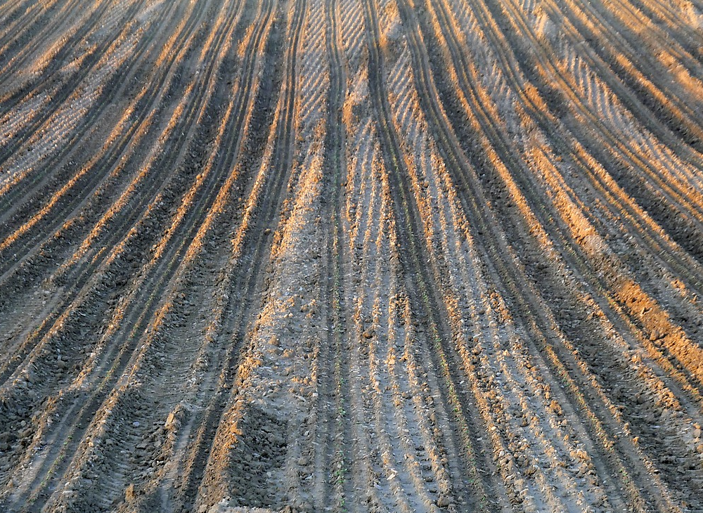Comment étaler de la terre végétale ? Koncrete