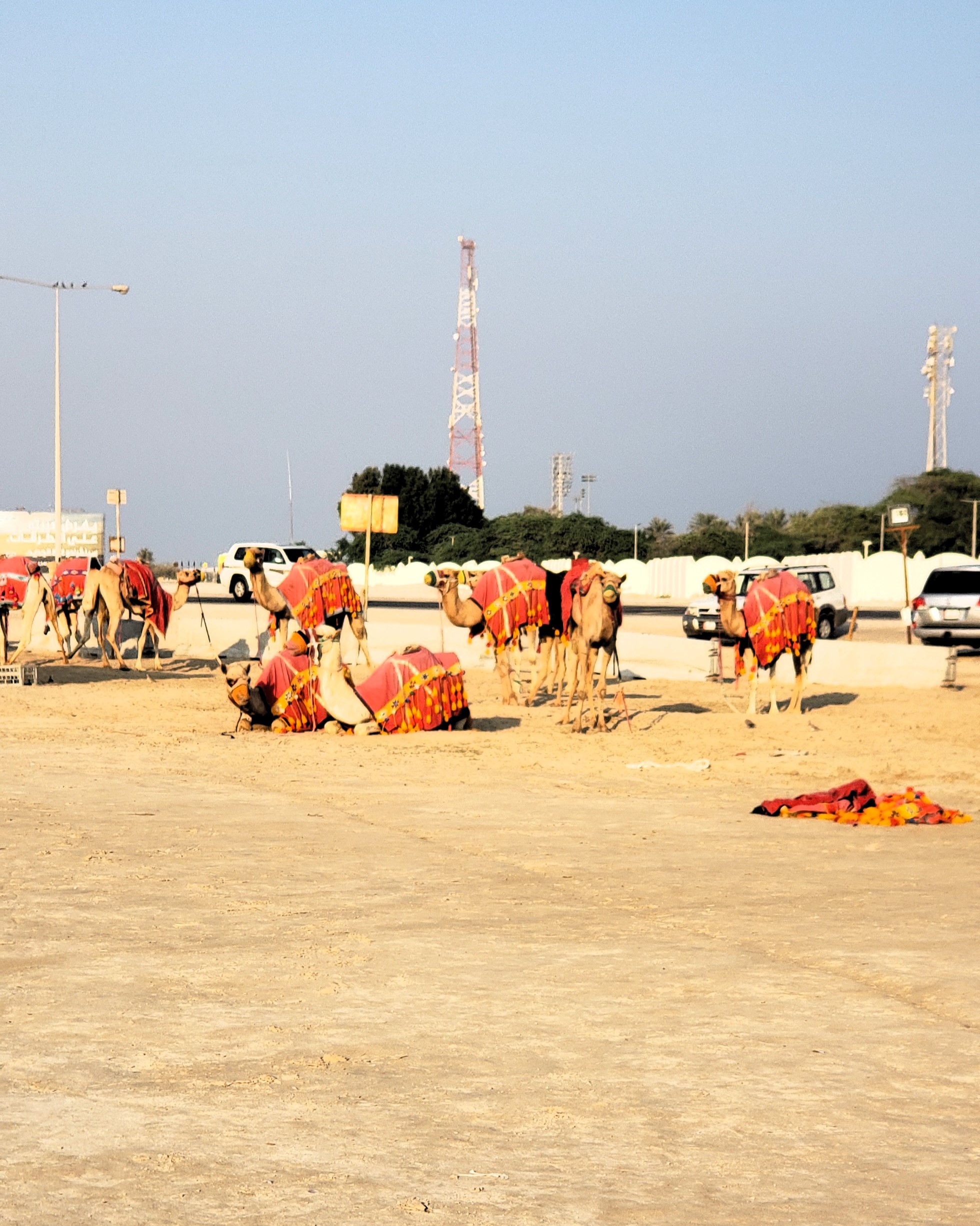 Reasons to Visit Qatar