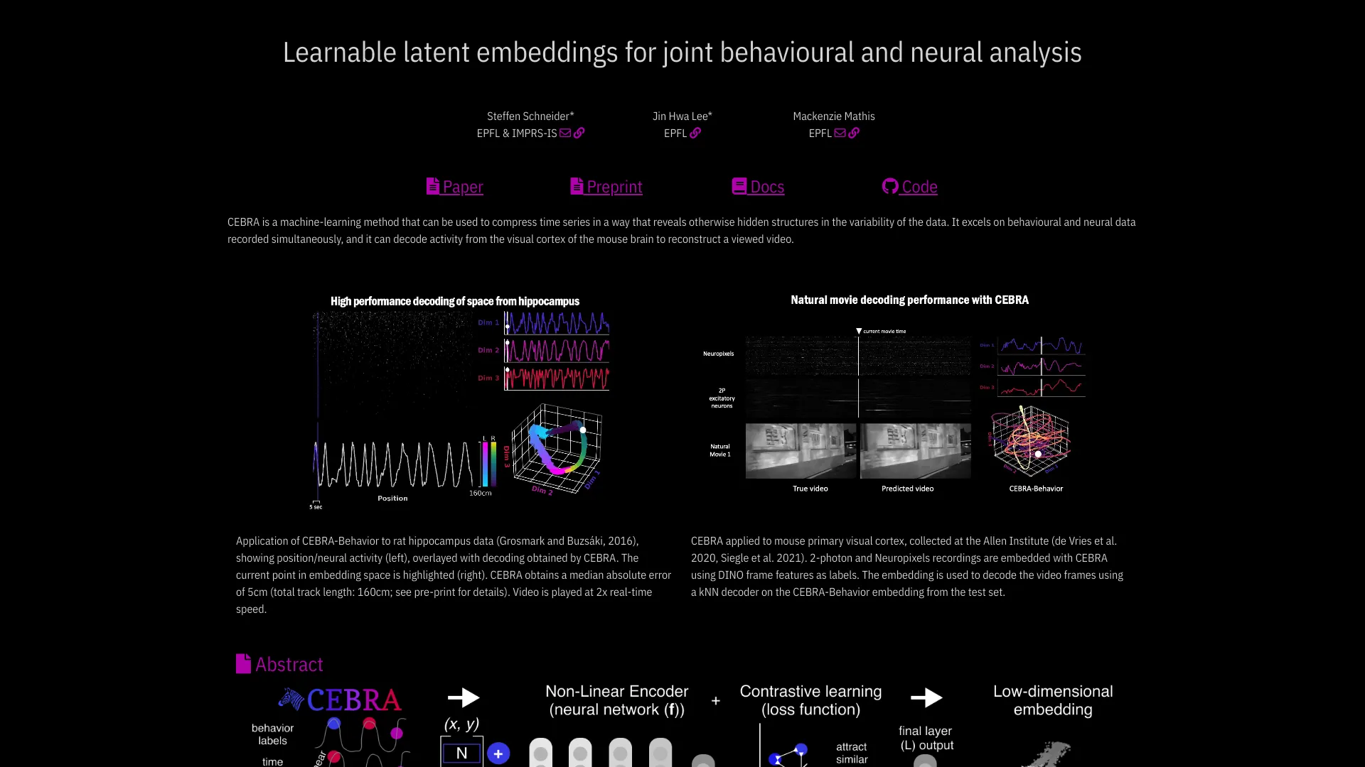 AI Behavioral And Neural Data Analysis Tool