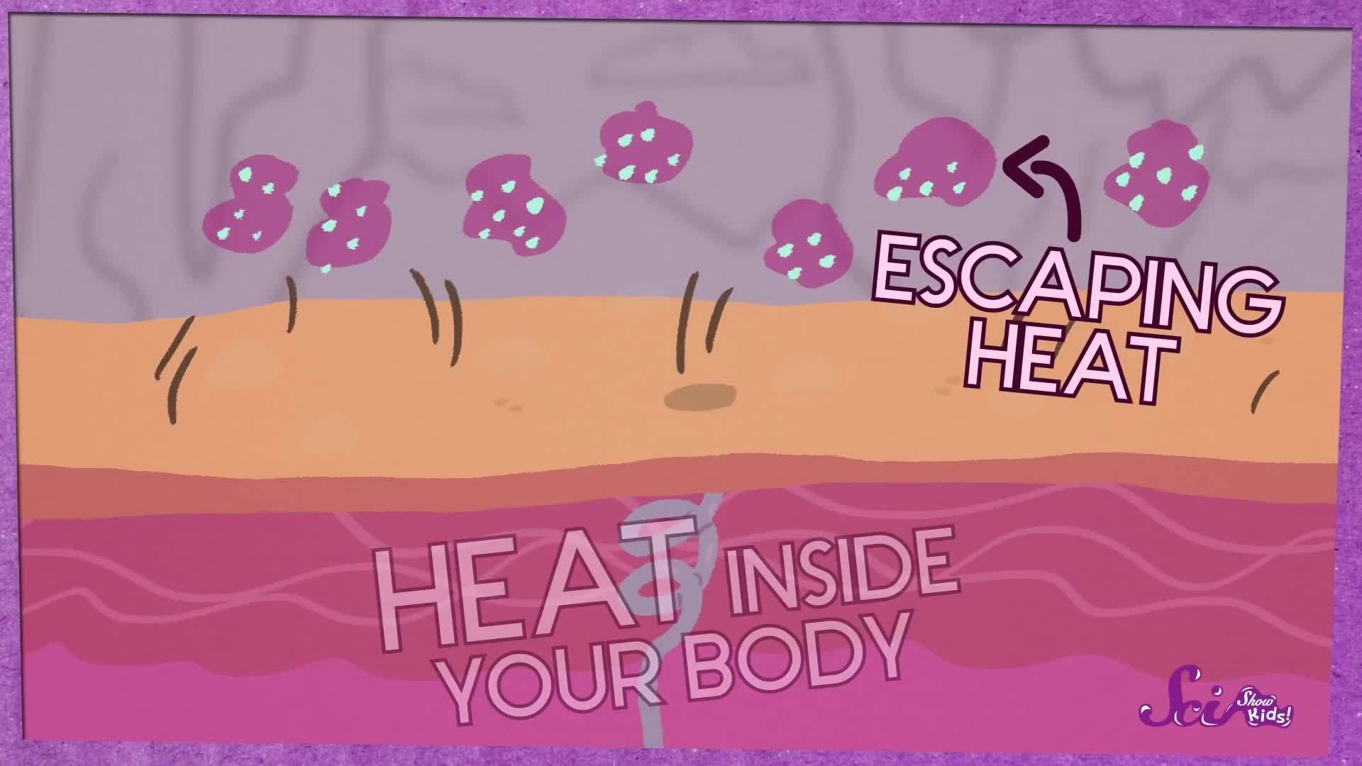 Why Do We Sweat? by SciShow Kids