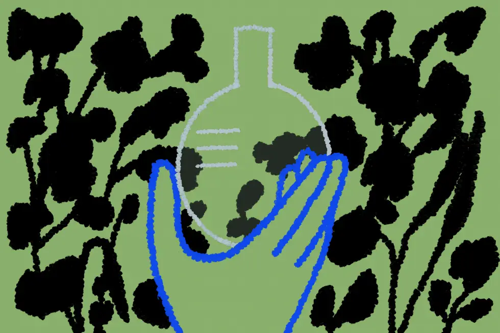 Guide to Buying Lab Equipment in Houston, Texas