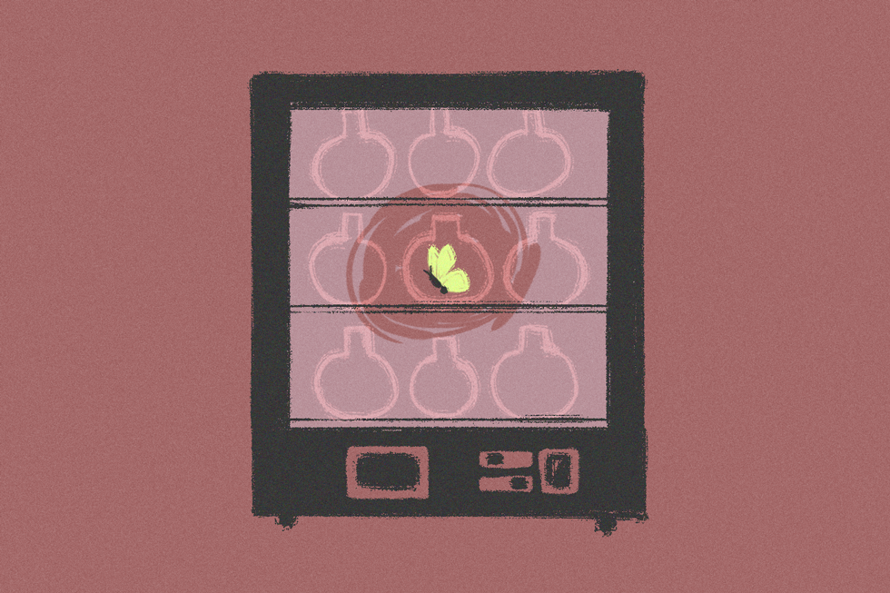 What Is an Incubator Used for in the Lab?