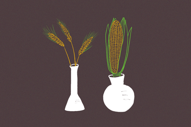 Lab Equipment List for Agricultural Biotechnology Research
