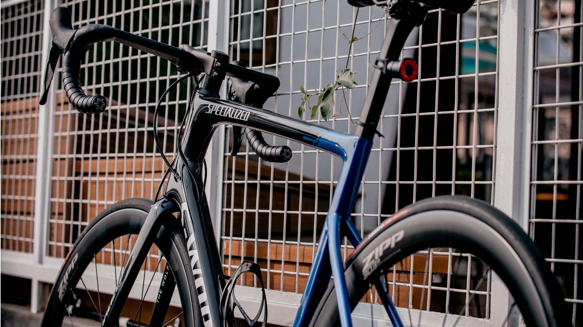 5 Reasons to insure your bike Velosure Blog